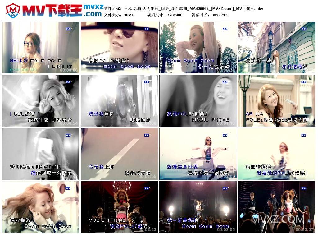 王蓉 老猫-因为铂乐_国语_流行歌曲_MA405562